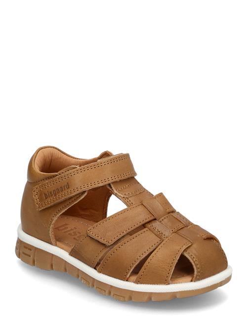 Bisgaard | Bisgaard Angus | 30