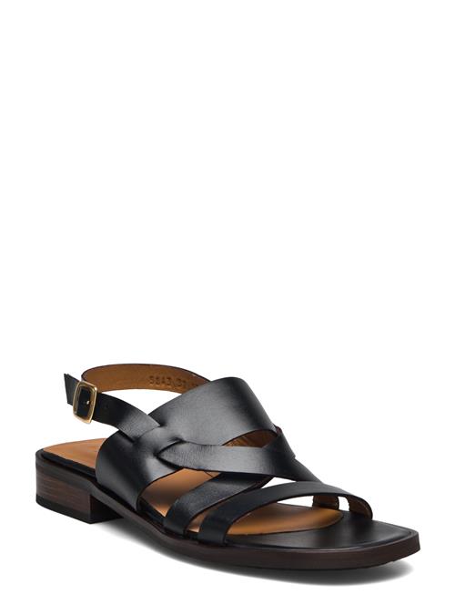 ANGULUS | Sandals - Flat | 36