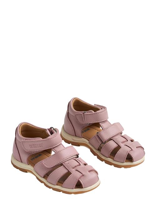 Wheat | Sandal Frei | 24