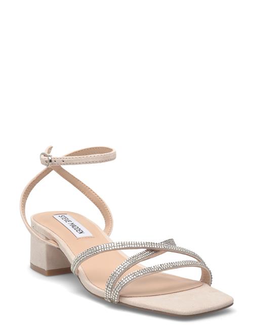Steve Madden | Gabby | 42