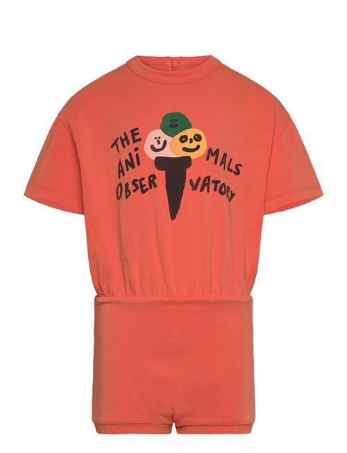 THE ANIMALS OBSERVATORY | Koala Kid Body Salmon | 4 Y