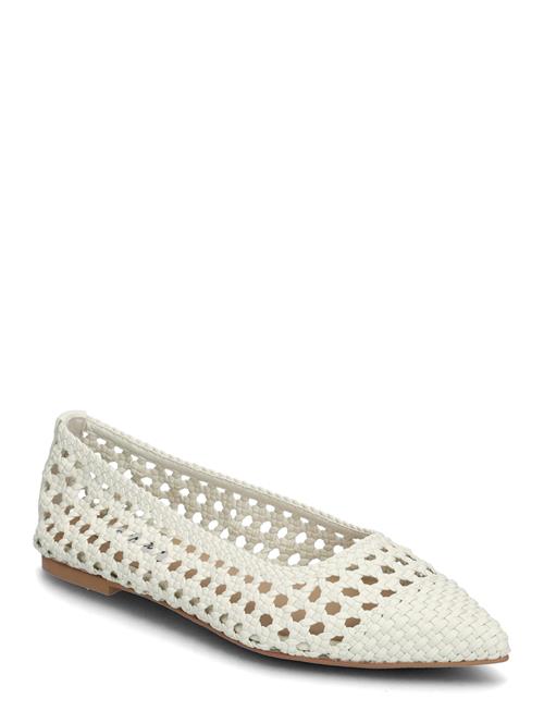 Steve Madden | Saxton Ballerina | 41
