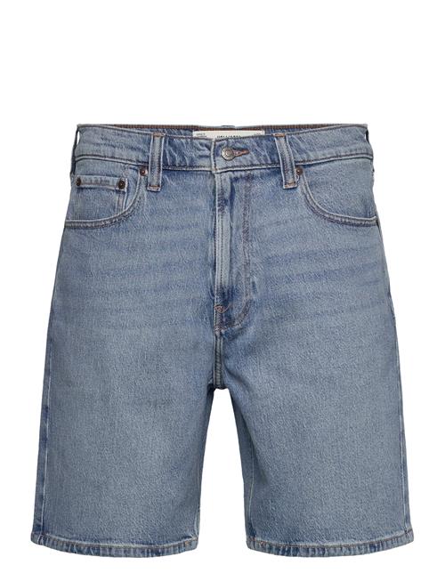 Hollister | Hco. Guys Shorts | 31