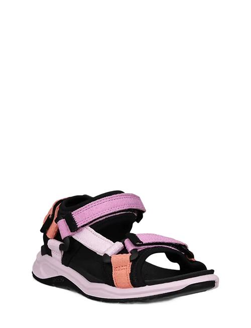 ECCO | X-Trinsic K | 37