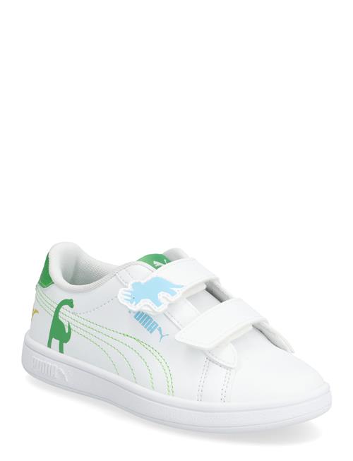 PUMA | Puma Smash 3.0 Dino V Ps | 31