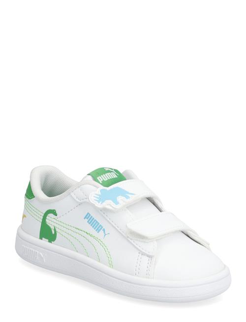 PUMA | Puma Smash 3.0 Dino V Inf | 19