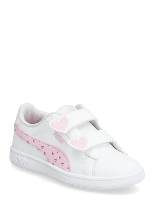 PUMA | Puma Smash 3.0 Hearty V Ps | 34
