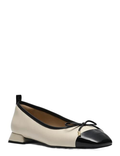 Clarks | Ubree15 Poppy D | 41