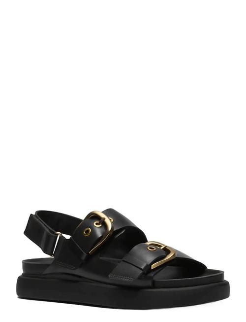 Clarks | Aristella Bay D | 37