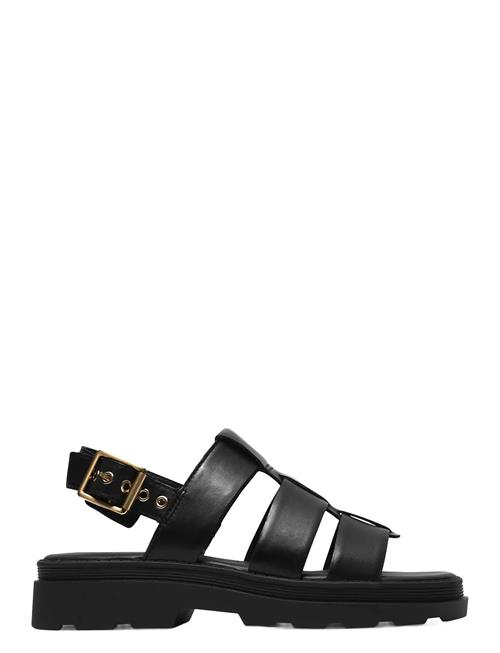 Clarks | Orinoco3 Strap D | 41