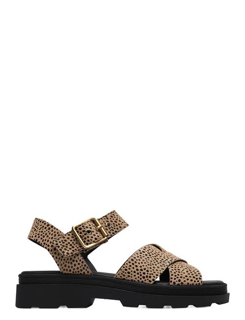 Clarks | Orinoco3 Cross D | 39
