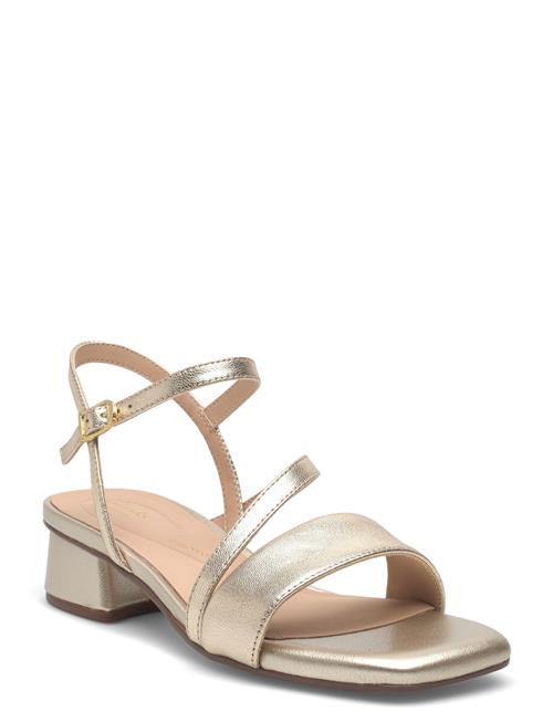 Clarks | Serina35 Strap D | 36