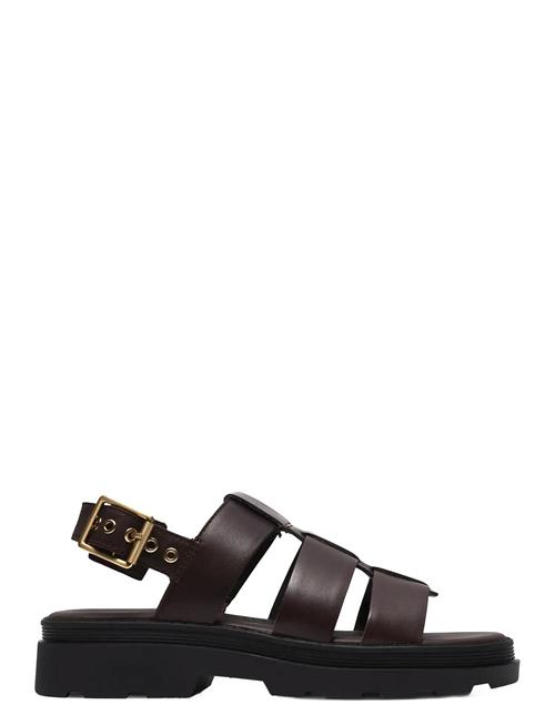 Clarks | Orinoco3 Strap D | 40