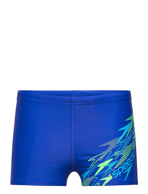 Speedo | Medley Logo Aquashort | 116