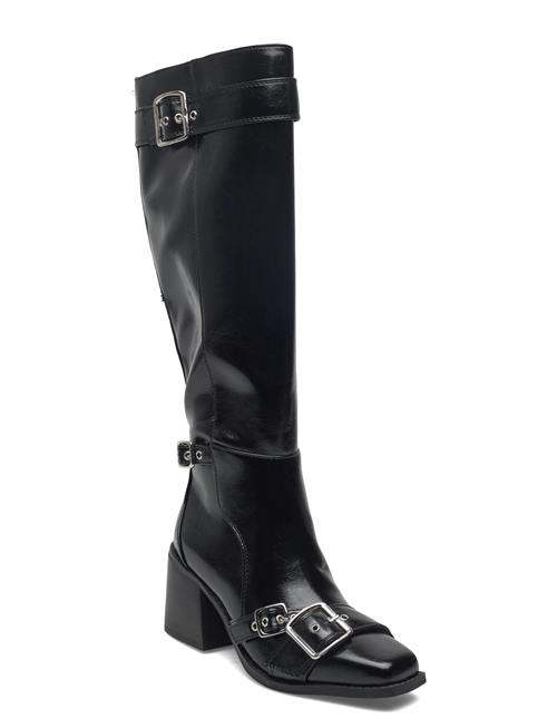 Steve Madden | Z-Town | 40