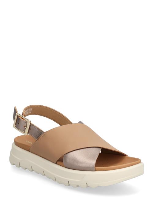GEOX | D Xand 2.1S E | 36