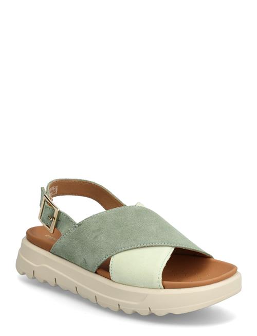 GEOX | D Xand 2.1S E | 39