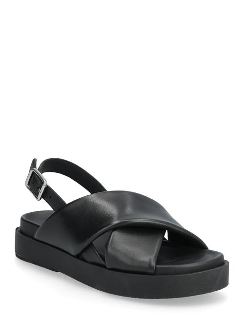 GEOX | D Adelash H A | 39