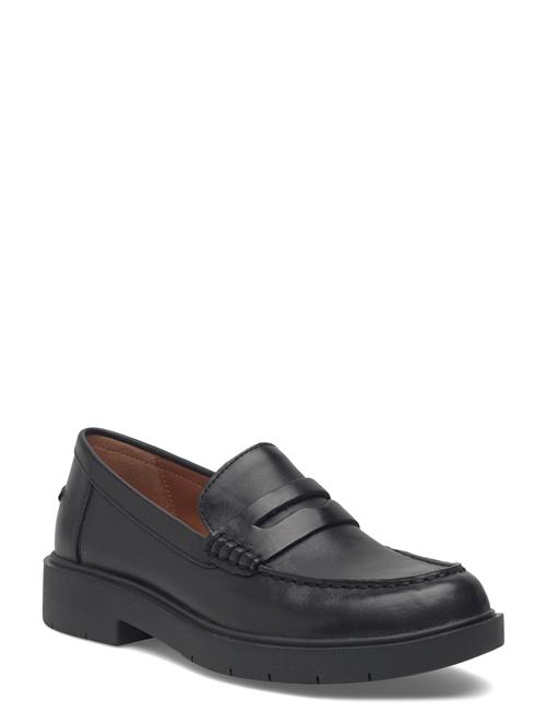 GEOX | D Spherica Ec1 B B | 38