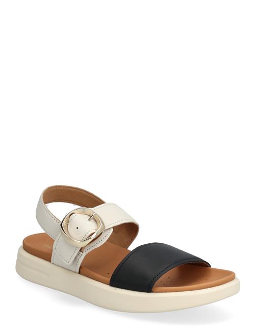 GEOX | D Xand 2S A | 39