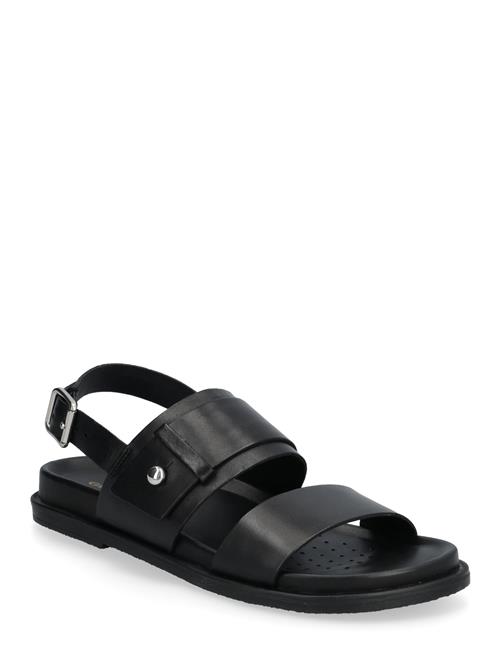 GEOX | D Adelash A | 39