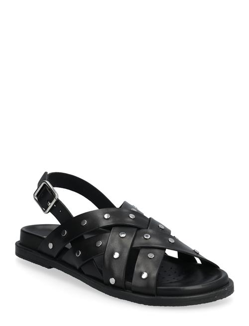 GEOX | D Adelash C | 41