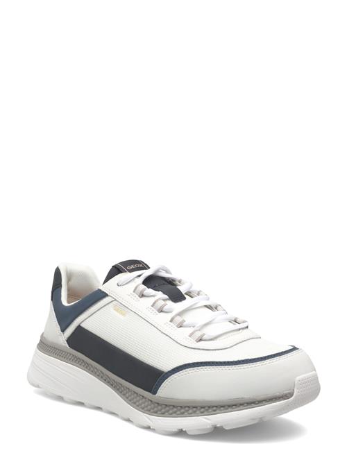 GEOX | U Spherica Actif X1 | 41