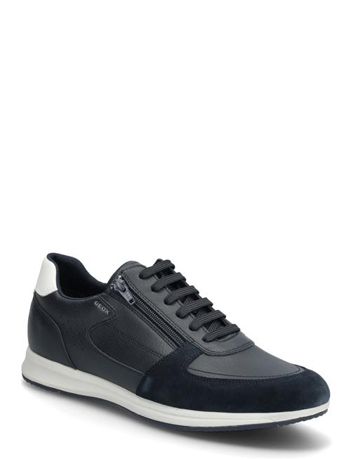GEOX | U Avery A | 40