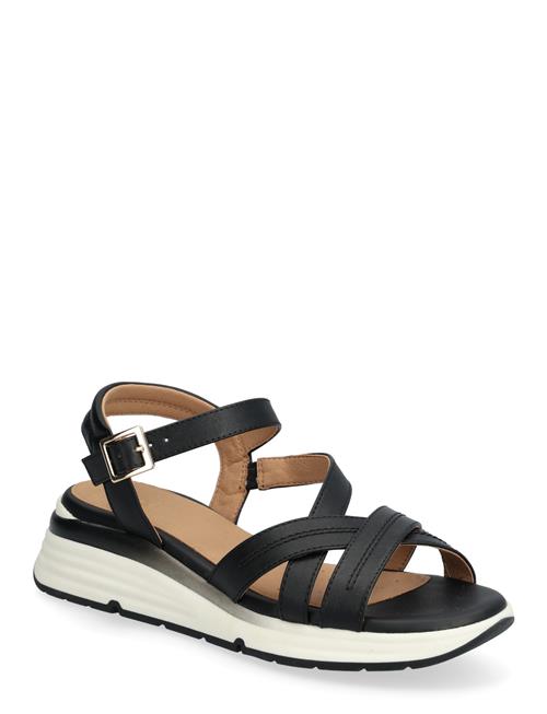 GEOX | D Elowynne A | 35