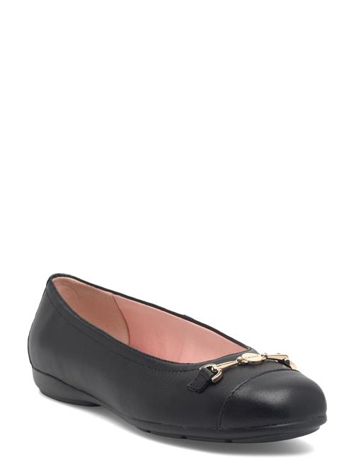 GEOX | D Annytah A | 39
