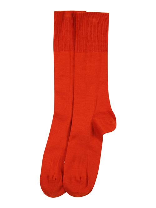 FALKE Sokker  mørkeorange