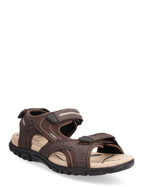 GEOX | Uomo Sandal Strada D | 43