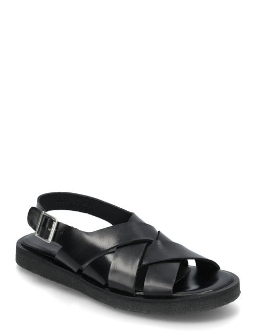 ANGULUS | Sandals - Flat  - Open Toe - Op | 39