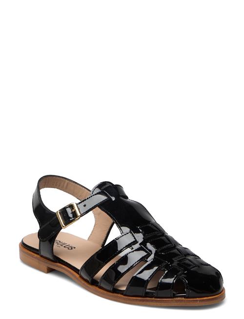 ANGULUS | Sandals - Flat - Closed Toe - Op | 38-25.1CM