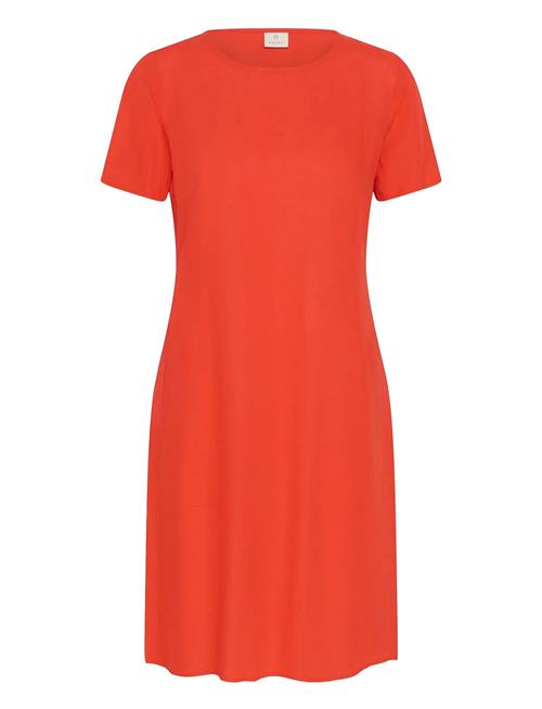 Kaffe | Kamilia Dress | 38