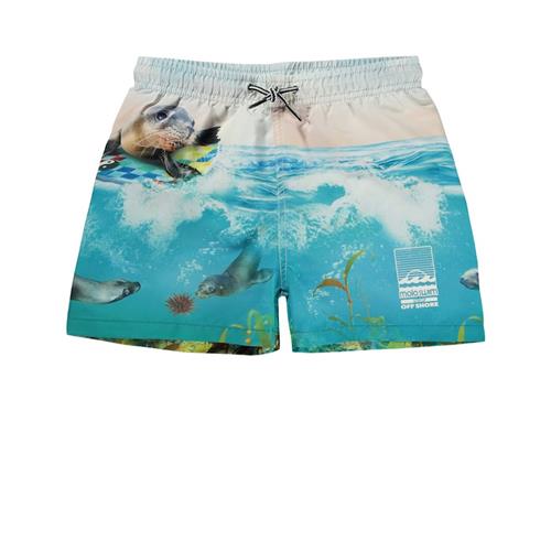 Molo Niko Badebukser Sealion 92/98 cm  Blå  92/98 cm  Drenge