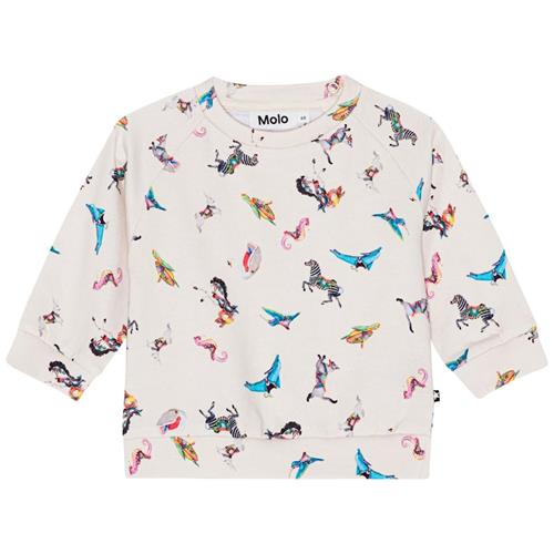 Molo GOTS Disc Sweatshirt Carousel Mini 80 cm  Creme  80 cm  Piger