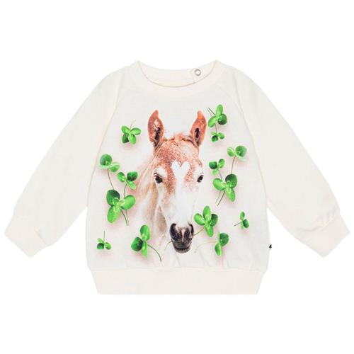 Molo GOTS Disc Sweatshirt Clover Foal 80 cm  Creme  80 cm  Piger