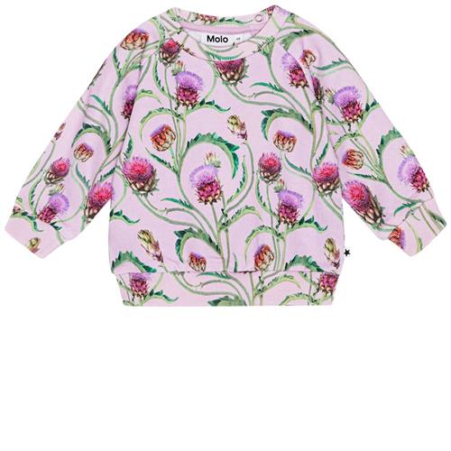 Molo GOTS Disc Sweatshirt Artichoke Mini 56 cm  Lyserød  56 cm  Piger