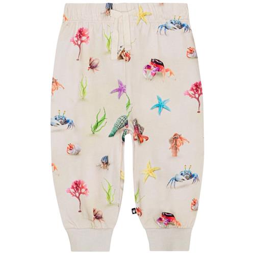 Molo GOTS Simeon Joggingbukser Hermit Crab 74 cm  Beige  74 cm  Drenge, Piger