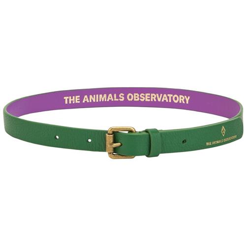 The Animals Observatory Ibis Bælte Grønt 80 cm  Grøn  80 cm  Drenge, Piger