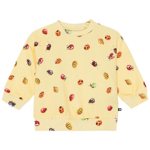 Molo GOTS Disc Sweatshirt Coccinella 62 cm  Gul  62 cm  Drenge, Piger