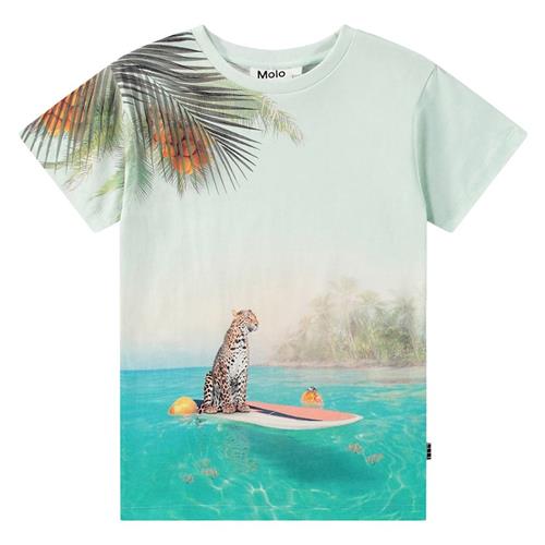Molo Raul T-Shirt Leo On Surf 104cm  Beige  104 cm  Drenge