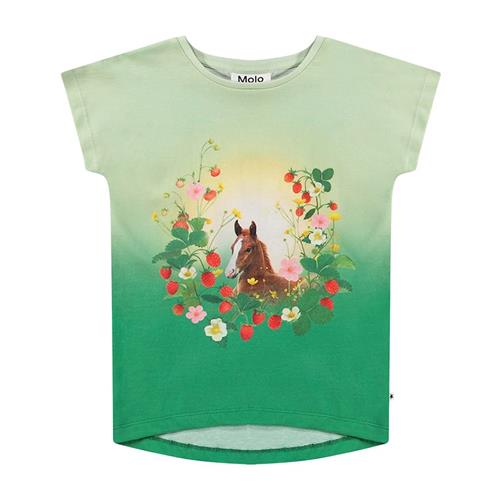 Molo Ragnhilde T-Shirt Beauty 116 cm  Grøn  116 cm  Piger