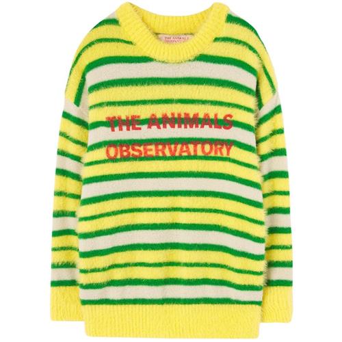 The Animals Observatory STRIPES BULL Strikket trøje Yellow 6 Y  Gul  6 år  Drenge, Piger