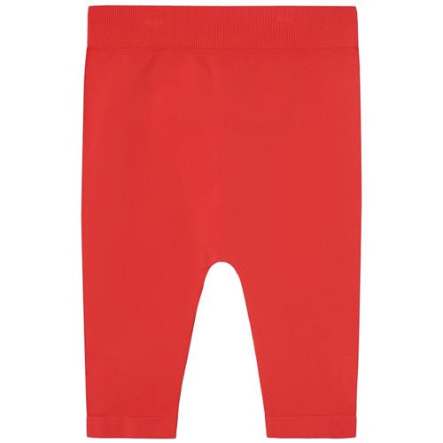 The Animals Observatory Sardine Kid Leggings Red 4-6 Y  Rød  4-6 år  Drenge, Piger