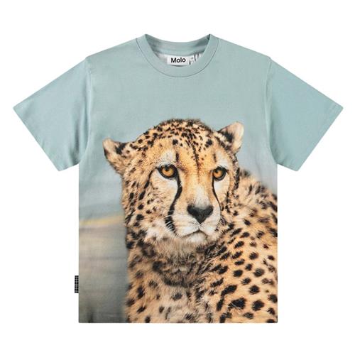 Molo Rubin Short-Sleeved T-Shirt Big Cheetah Blue 98 cm  Blå  98 cm  Drenge