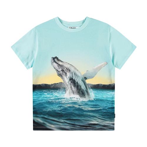 Molo Rame Short Sleeve T-Shirt Whale Jump 98 cm  Blå  98 cm  Drenge