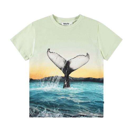 Molo Rame Short Sleeve T-Shirt Whale Tail 92 cm  Blå  92 cm  Drenge
