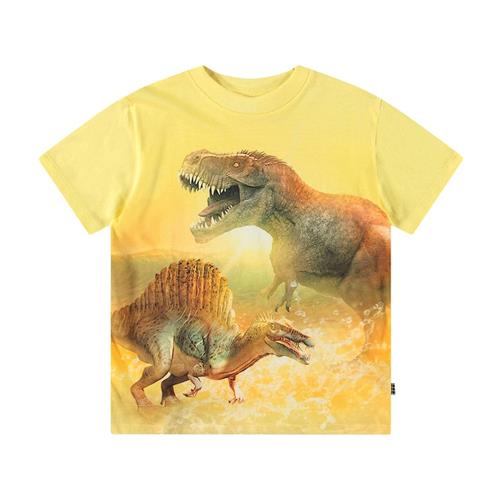 Molo Roxo Short Sleeve T-Shirt Sunny Dinos 152 cm  Gul  152 cm  Drenge